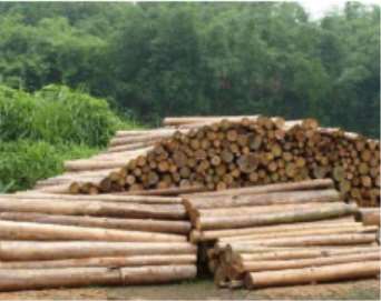 ˮ��(du��)��ͬ���ľ�ĵ�Ӱ�