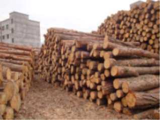 ��(ji��n)��ľ�ĵ��W(xu��)����