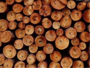 �P(gu��n)��ľ��ȱ���(l��i)�ͼ�ԭ��Ľ�B