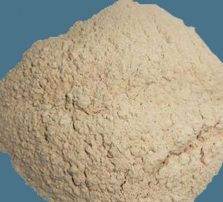 ľ�ۏS�Ҍ���ľ������M(j��n)�к�ɹ���