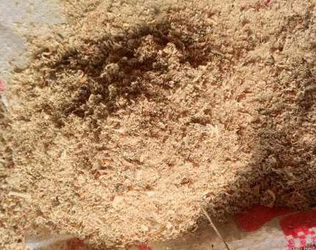 �xُ(g��u)��ľ��Ҫע�ص��c(di��n)