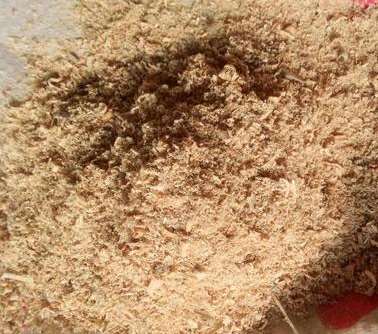 ��ľ�۵���Ч�Ժ�(ji��n)��