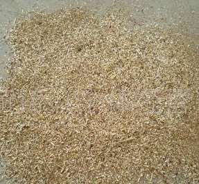 ��ľ�۵��|(zh��)��Ҫ��ΰѿ�