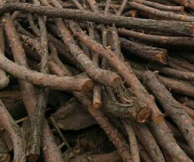 ľ������Щ��(y��u)ȱ�c