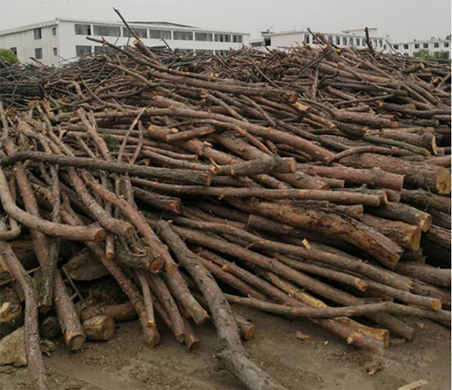 ���ˌ�(du��)ľ������κ�ɵ�