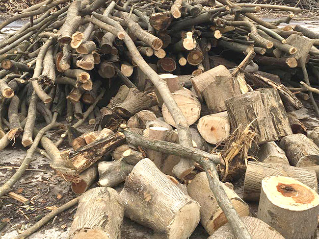 ľ�ĵķ��(l��i)��B