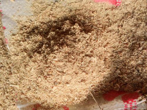 ��ľ����;